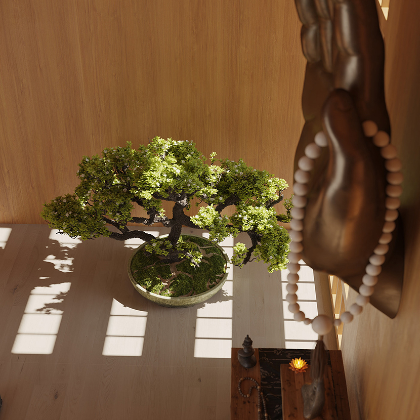 Zen Space details bonsai tree and Abhayamudra