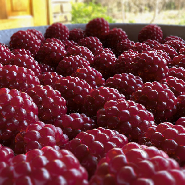 3D Raspberries