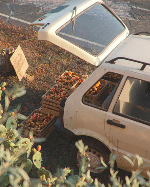 Car dropping loads of fruits